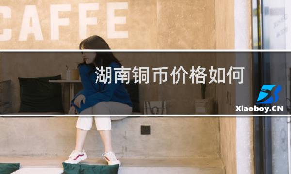 湖南铜币价格如何