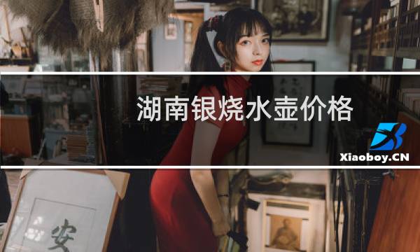 湖南银烧水壶价格