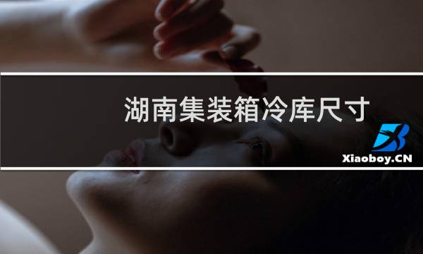 湖南集装箱冷库尺寸