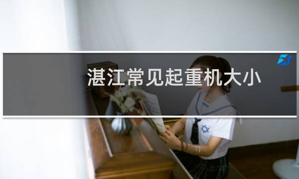 湛江常见起重机大小
