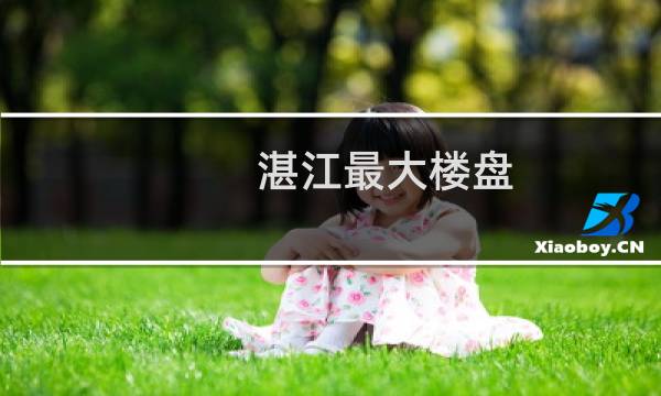 湛江最大楼盘