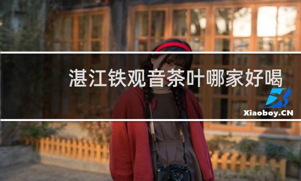 湛江铁观音茶叶哪家好喝