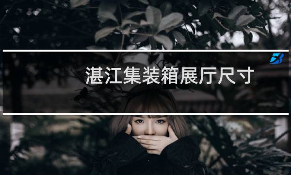 湛江集装箱展厅尺寸