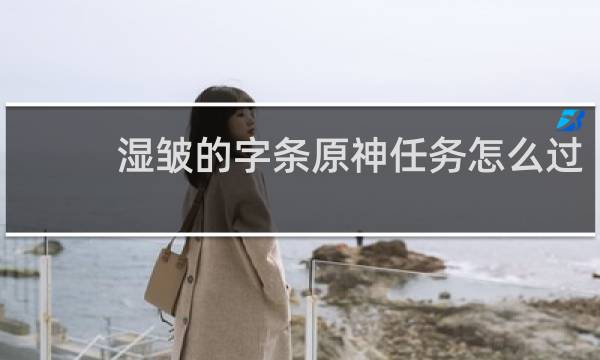 湿皱的字条原神任务怎么过