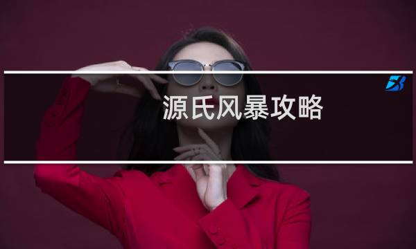 源氏风暴攻略