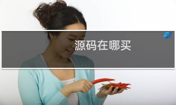 源码在哪买