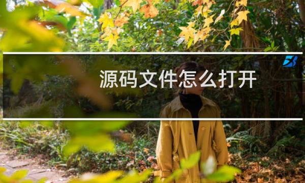 源码文件怎么打开