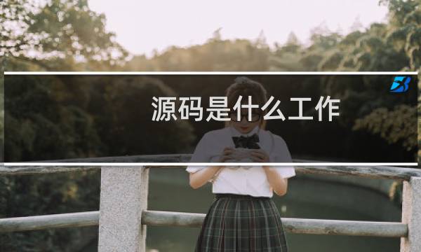 源码是什么工作