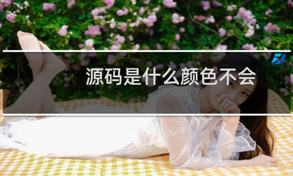源码是什么颜色不会