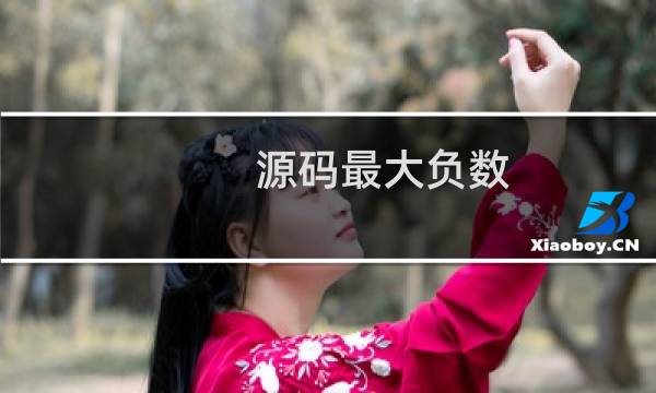 源码最大负数