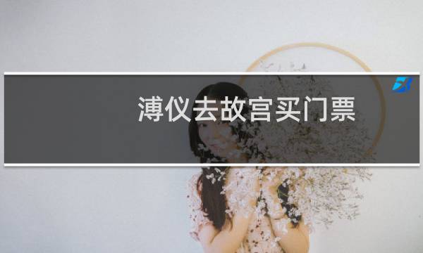 溥仪去故宫买门票