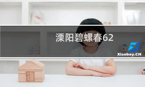 溧阳碧螺春62.5g多少钱