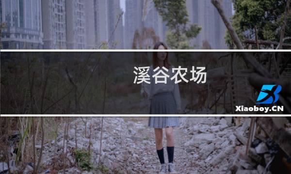 溪谷农场 攻略