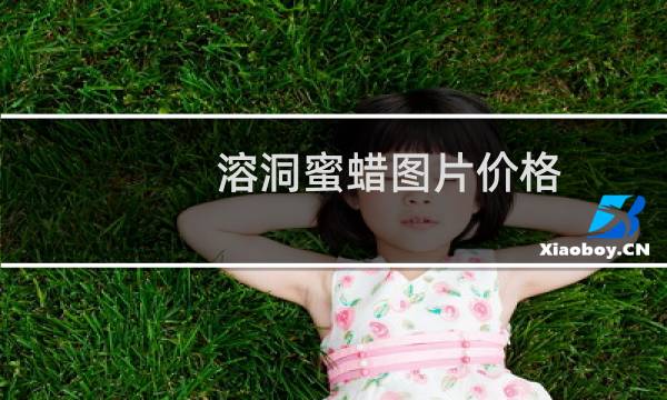 溶洞蜜蜡图片价格