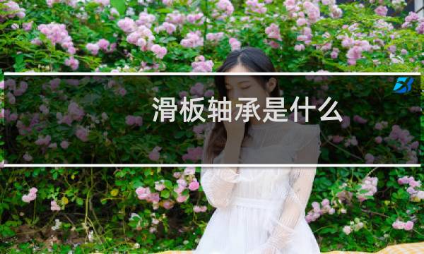 滑板轴承是什么