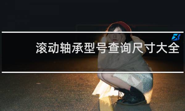 滚动轴承型号查询尺寸大全