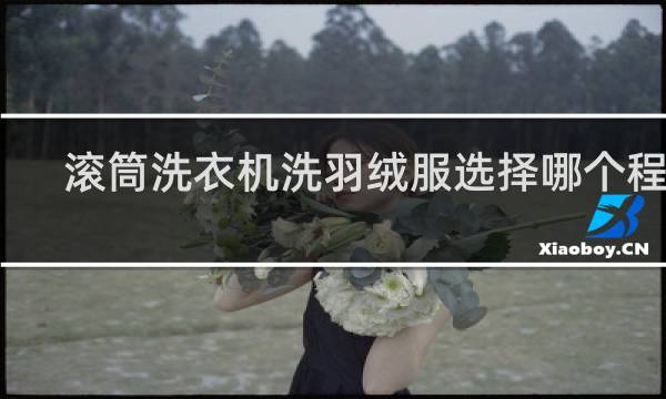 滚筒洗衣机洗羽绒服选择哪个程序