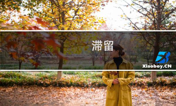 滞留 攻略电视