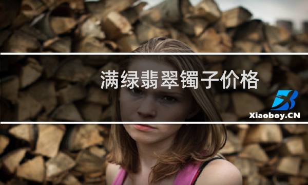 满绿翡翠镯子价格