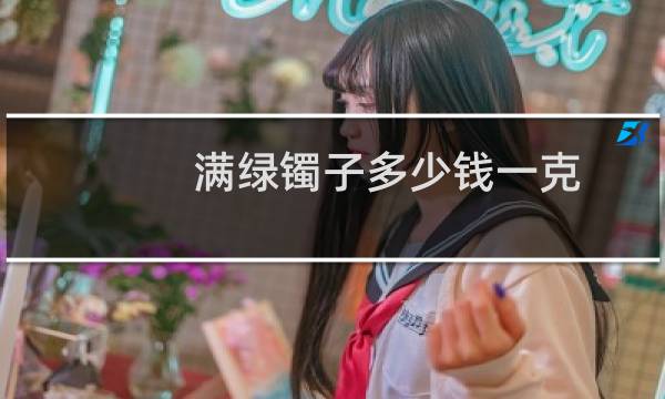 满绿镯子多少钱一克