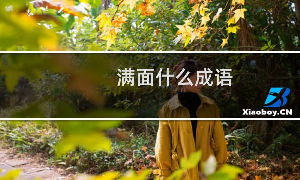 满面什么成语