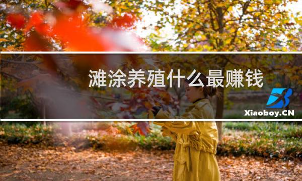 滩涂养殖什么最赚钱
