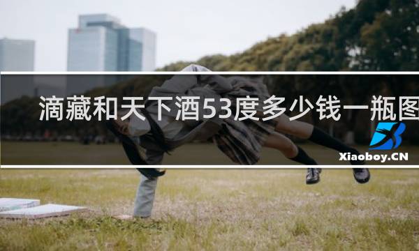 滴藏和天下酒53度多少钱一瓶图片