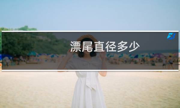 漂尾直径多少