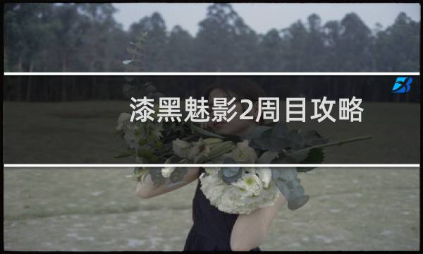 漆黑魅影2周目攻略