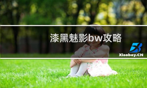 漆黑魅影bw攻略