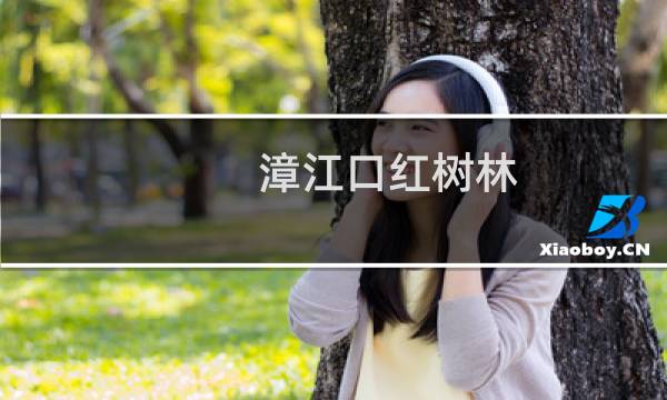 漳江口红树林 攻略