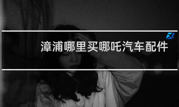 漳浦哪里买哪吒汽车配件