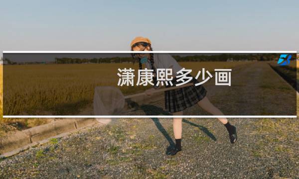 潇康熙多少画