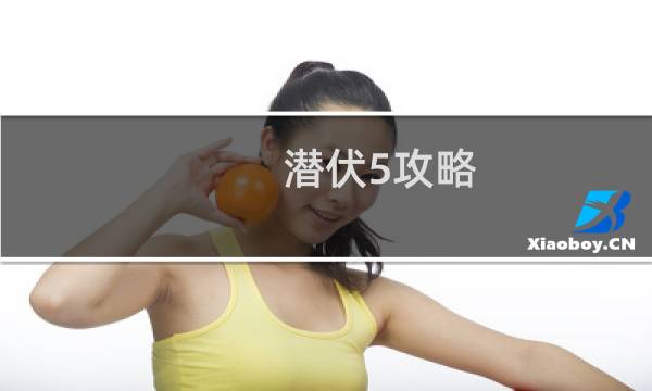 潜伏5攻略