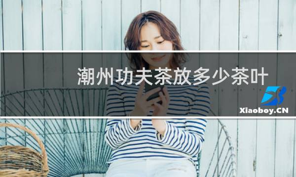 潮州功夫茶放多少茶叶