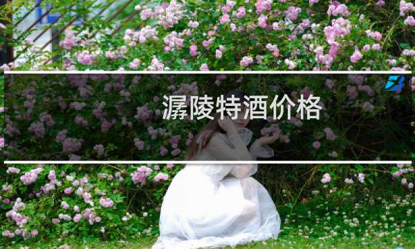 潺陵特酒价格