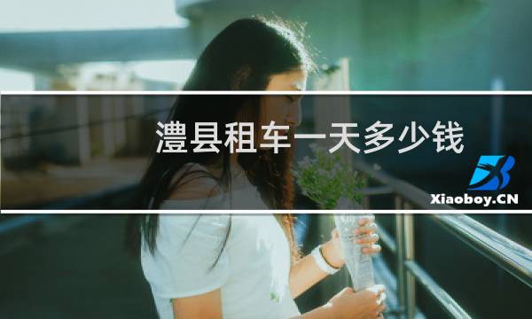 澧县租车一天多少钱