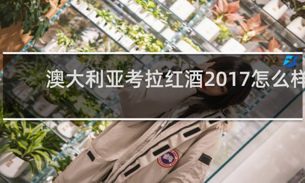 澳大利亚考拉红酒2017怎么样