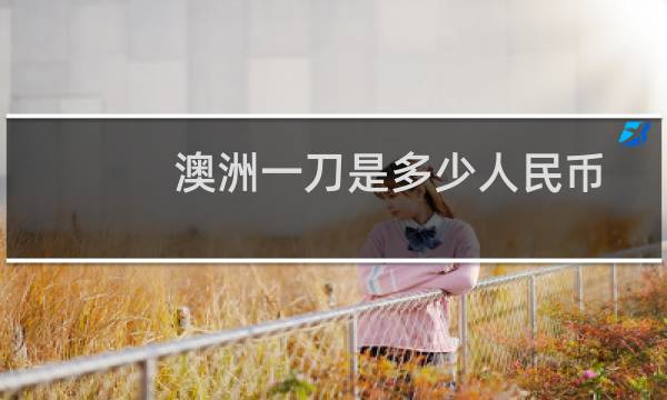 澳洲一刀是多少人民币