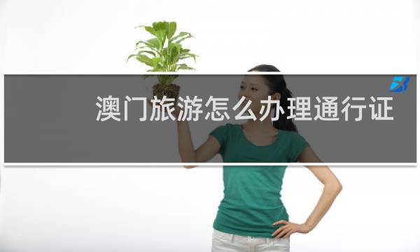 澳门旅游怎么办理通行证