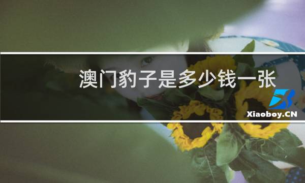 澳门豹子是多少钱一张