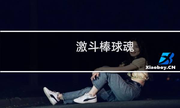 激斗棒球魂 攻略