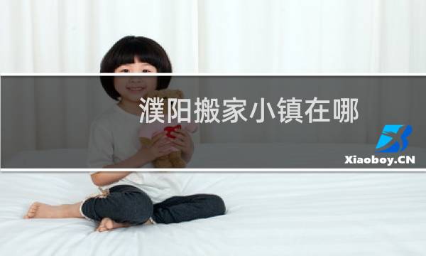 濮阳搬家小镇在哪