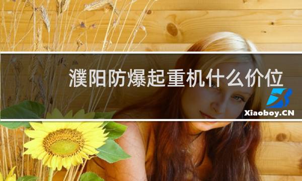 濮阳防爆起重机什么价位