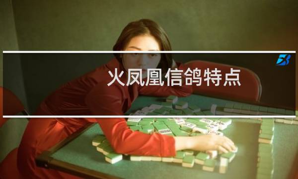 火凤凰信鸽特点