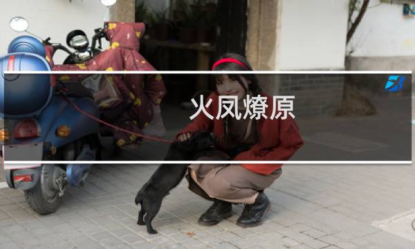 火凤燎原 攻略