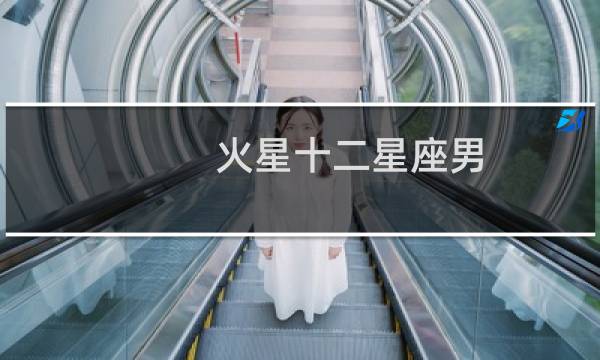 火星十二星座男