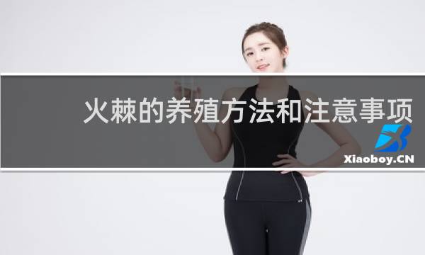 火棘的养殖方法和注意事项