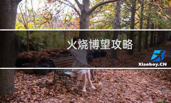 火烧博望攻略