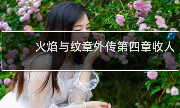 火焰与纹章外传第四章收人